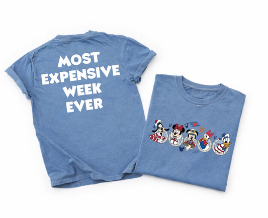 Disney Cruise Family Tees