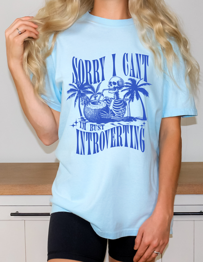 I’m introverting graphic tshirt