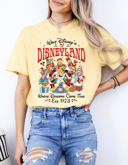 DL Dreams come true tshirt