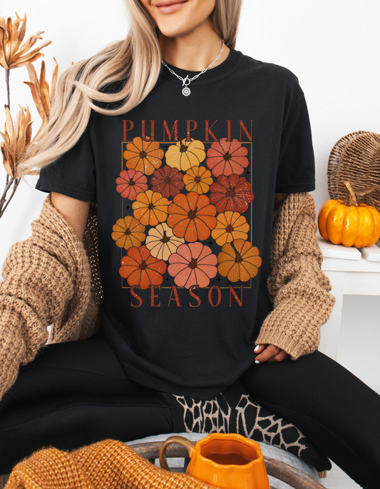 Pumpkin season tee