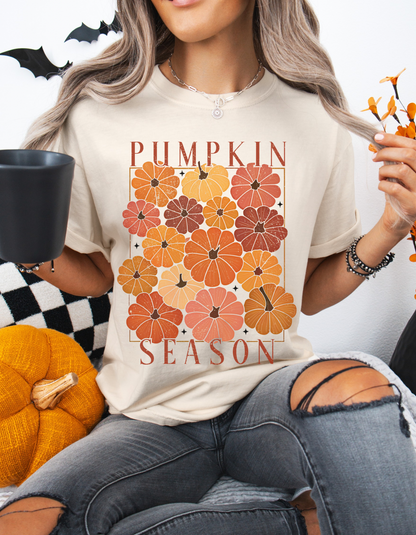 Pumpkin season tee
