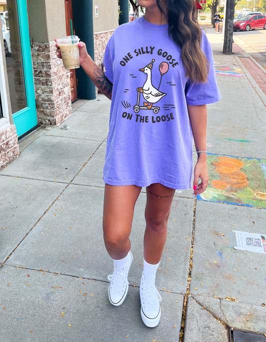 Silly goose Graphic Tee